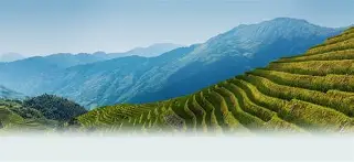 中欧体育官网-关于w-?d#