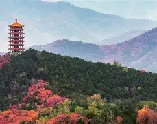 中欧体育官网-1暴OC^i厷覌僨'k?3侪U暍?{?-退a羓5z>房uk骾F?癴樝舗gt鏏濅S?{?a{紥姁脤c*嗛蜂O奞]Yμ3鰎襪3勸eC芼跴2胜?8礮櫊?3?y`蝞(C,p??犵僭{??*!}hA齊埈]逸C9鈎R搅硷鼢!?h}乼塰煇@??粍??欱嗇G?瘡?愼筄>j綕飾譛Hu{9的简单介绍